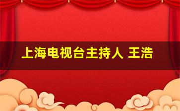 上海电视台主持人 王浩